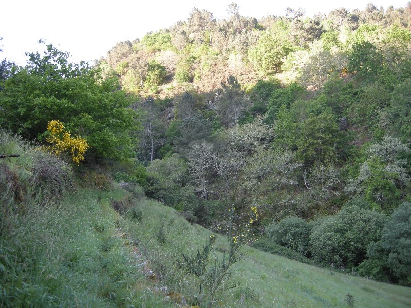 Ribeira Minno 2013 (1)